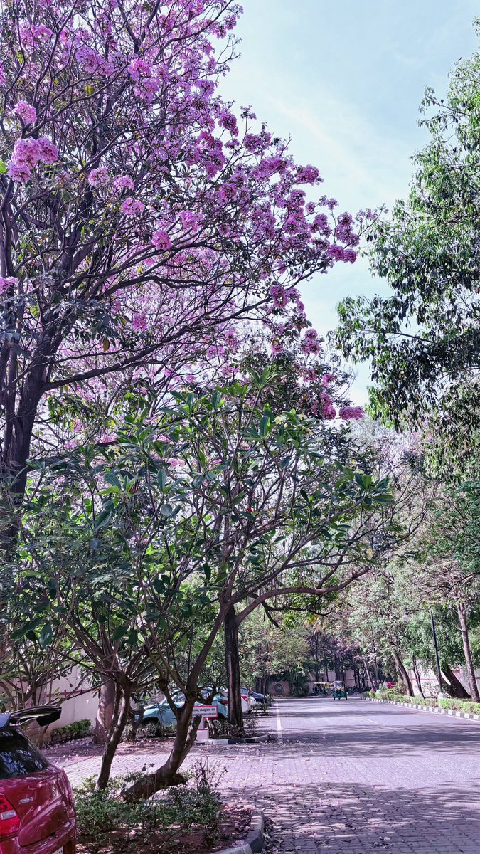 ankitatr_'s tweet image. Having your office at such a location is a bliss 🌸