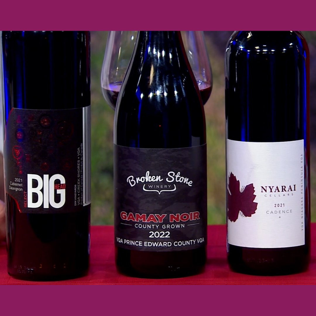 NatalieMacLean (@nataliemaclean) on Twitter photo 🍷 Will You Raise a Glass to Canadian Wines & Whiskies❓
nataliemaclean.com/blog/videos/ra…
🍸 Always great to raise a glass, or three, with <a href="/nicoleservinis/">NicoleServinis</a>
🥂 Have you tried any of these Canadian wines or whiskies❓
<a href="/Marynissen/">Marynissen Estates Winery</a> <a href="/TheHareWineCo/">The Hare Wine Co.</a> @bigheadwine <a href="/brokenstonewine/">Broken Stone Winery</a> 🍷 Will You Raise a Glass to Canadian Wines & Whiskies❓
nataliemaclean.com/blog/videos/ra…
🍸 Always great to raise a glass, or three, with <a href="/nicoleservinis/">NicoleServinis</a>
🥂 Have you tried any of these Canadian wines or whiskies❓
<a href="/Marynissen/">Marynissen Estates Winery</a> <a href="/TheHareWineCo/">The Hare Wine Co.</a> @bigheadwine <a href="/brokenstonewine/">Broken Stone Winery</a>