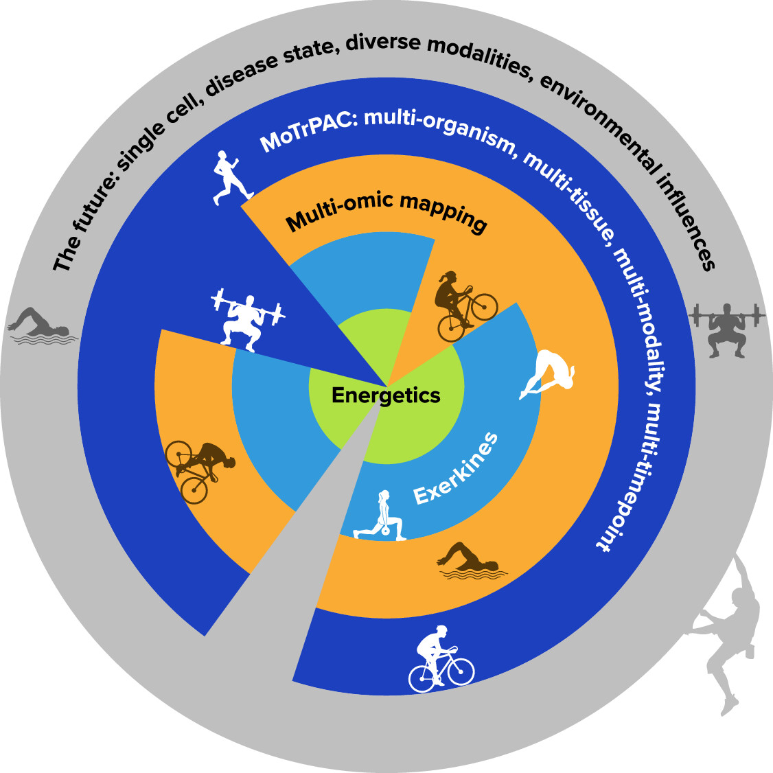 APS Publications (@apspublications) on Twitter photo Interesting review in <a href="/physiol_journal/">Physiology (APS Journal)</a>, Charting the Molecular Terrain of #Exercise: Energetics, #Exerkines, and the Future of #Multiomic Mapping
Daniel H. Katz, et al.
ow.ly/Bgjr50VvYqr Interesting review in <a href="/physiol_journal/">Physiology (APS Journal)</a>, Charting the Molecular Terrain of #Exercise: Energetics, #Exerkines, and the Future of #Multiomic Mapping
Daniel H. Katz, et al.
ow.ly/Bgjr50VvYqr
