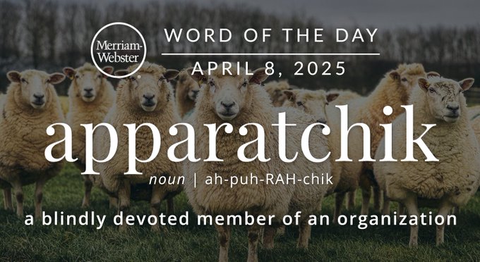 Merriam-Webster Word of the Day April 8, 2025 'apparatchik' noun | ah-puh-RAH-chik "a blindly devoted member of an organization" Background Image: A herd of sheep