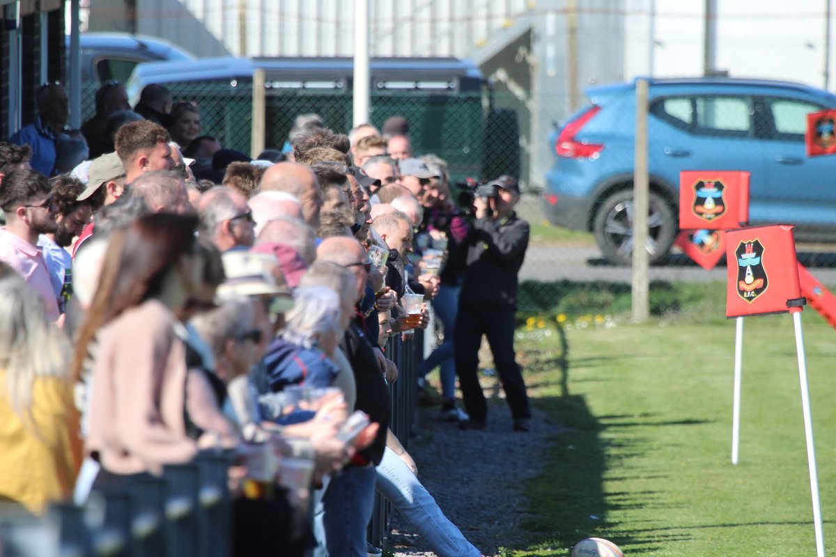 Sue Bows tweet media