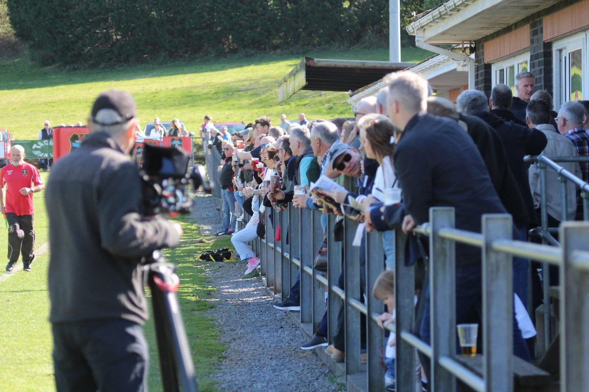 Sue Bows tweet media