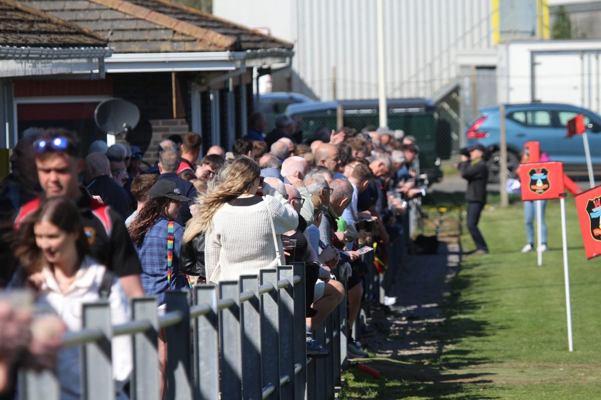 Sue Bows tweet media