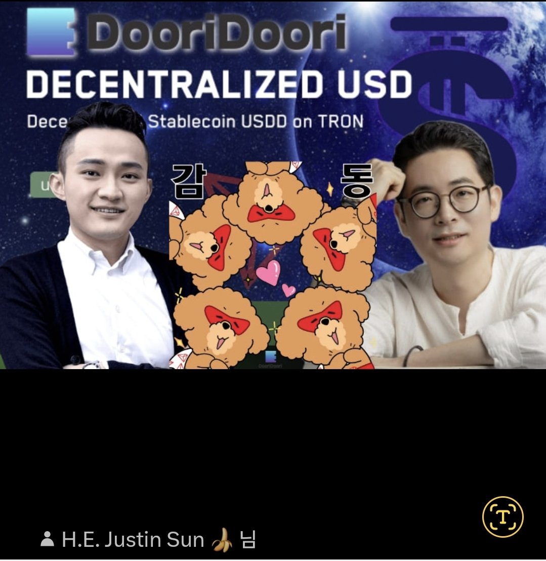 도리알지 tweet media