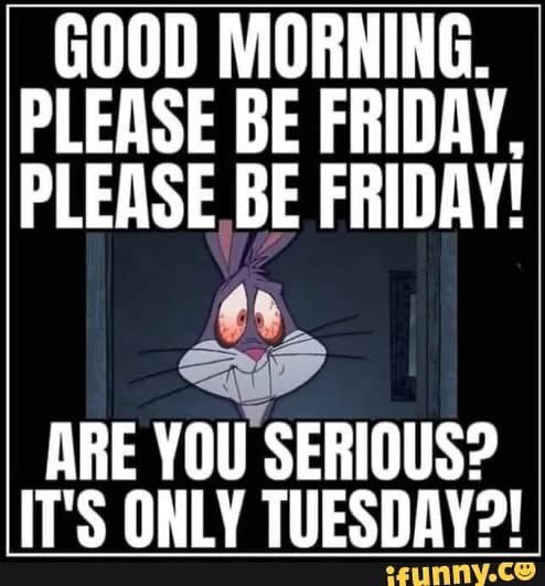 CoffeyHugh's tweet photo. Good morning 😮 
Have an amazing Tuesday 

#goodmorning #tuesdayvibes
#Amazing #tacotuesday
#april8th #coffeysportscollectibles https://t.co/lsMwSFCyZk
