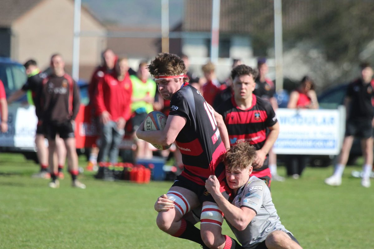 Sue Bows tweet media