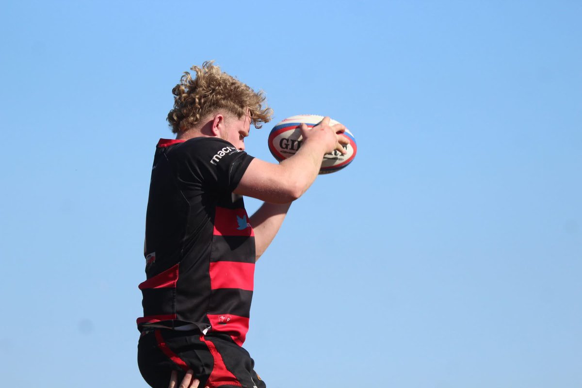 Sue Bows tweet media