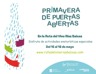 Ruta Vino Rías Baixas tweet media