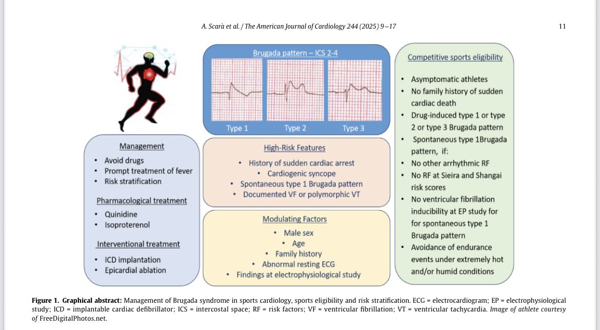 Brugada Syndrome in Sports Cardiology: An Expert Opinion Statement of the Italian Society of Sports Cardiology (SICSport) 🗞️

Link: ajconline.org/action/showPdf…