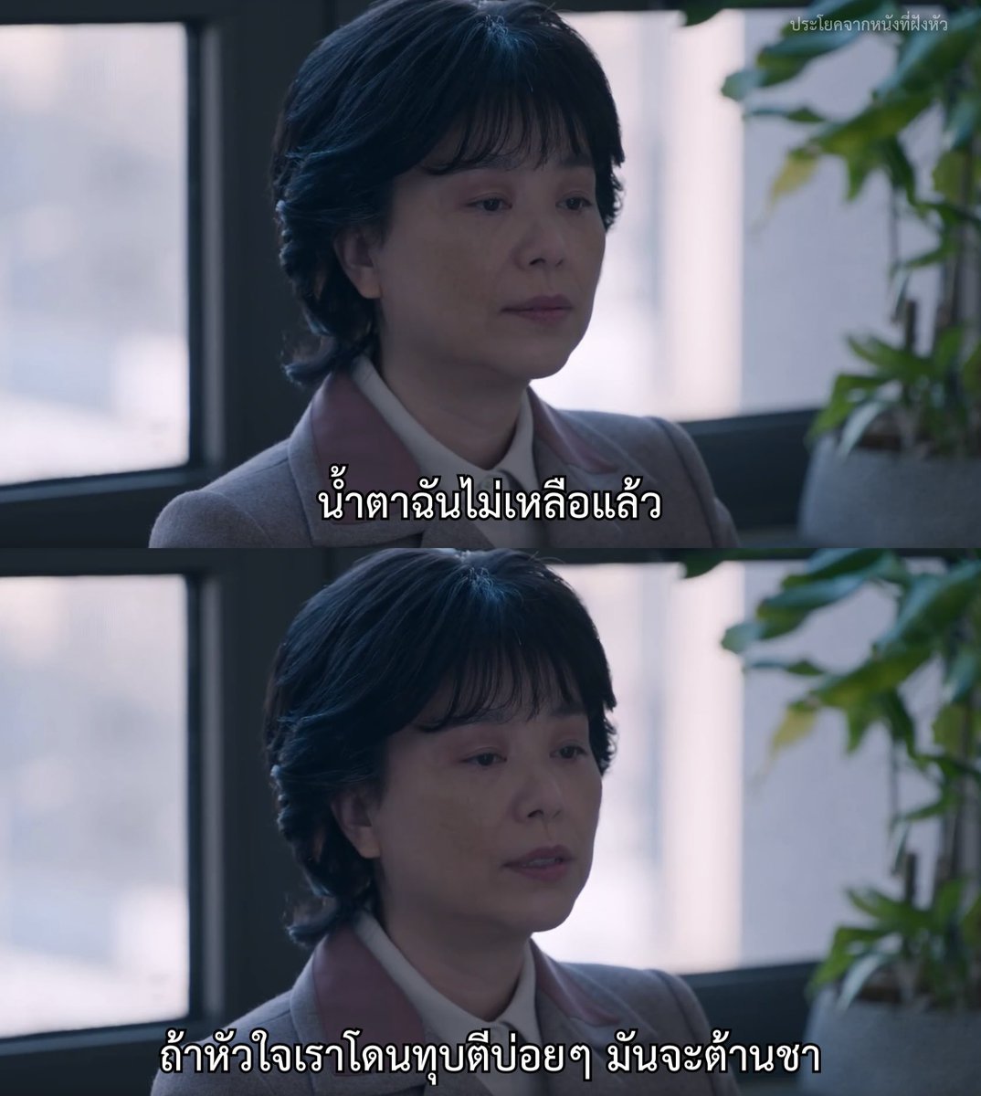 - When Life Gives You Tangerines