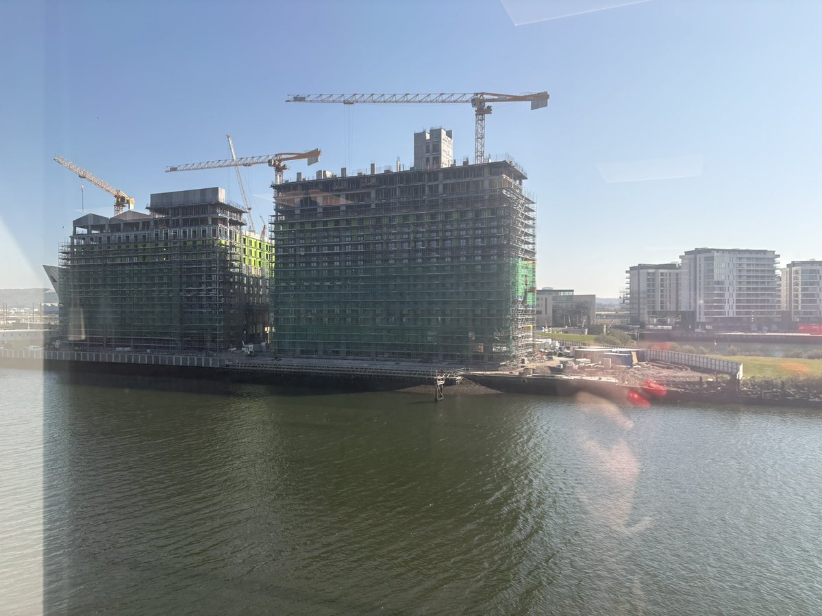 Allison Morris tweet media