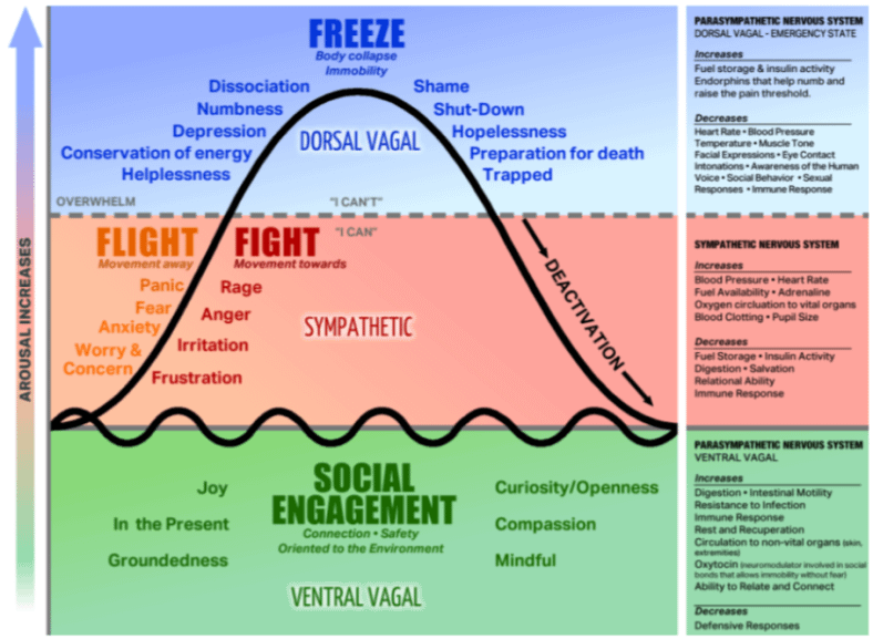 PinkFreudWrites's tweet photo. 6/ Chronic stress traps you in a body that never feels safe.

• Fight-or-flight floods you with cortisol
• Freeze leaves you numb, foggy, and exhausted

You’re not lazy. You’re not broken.

You're in survival mode with no off switch.
Your body is begging for safety. https://t.co/GyJHAgWd2s