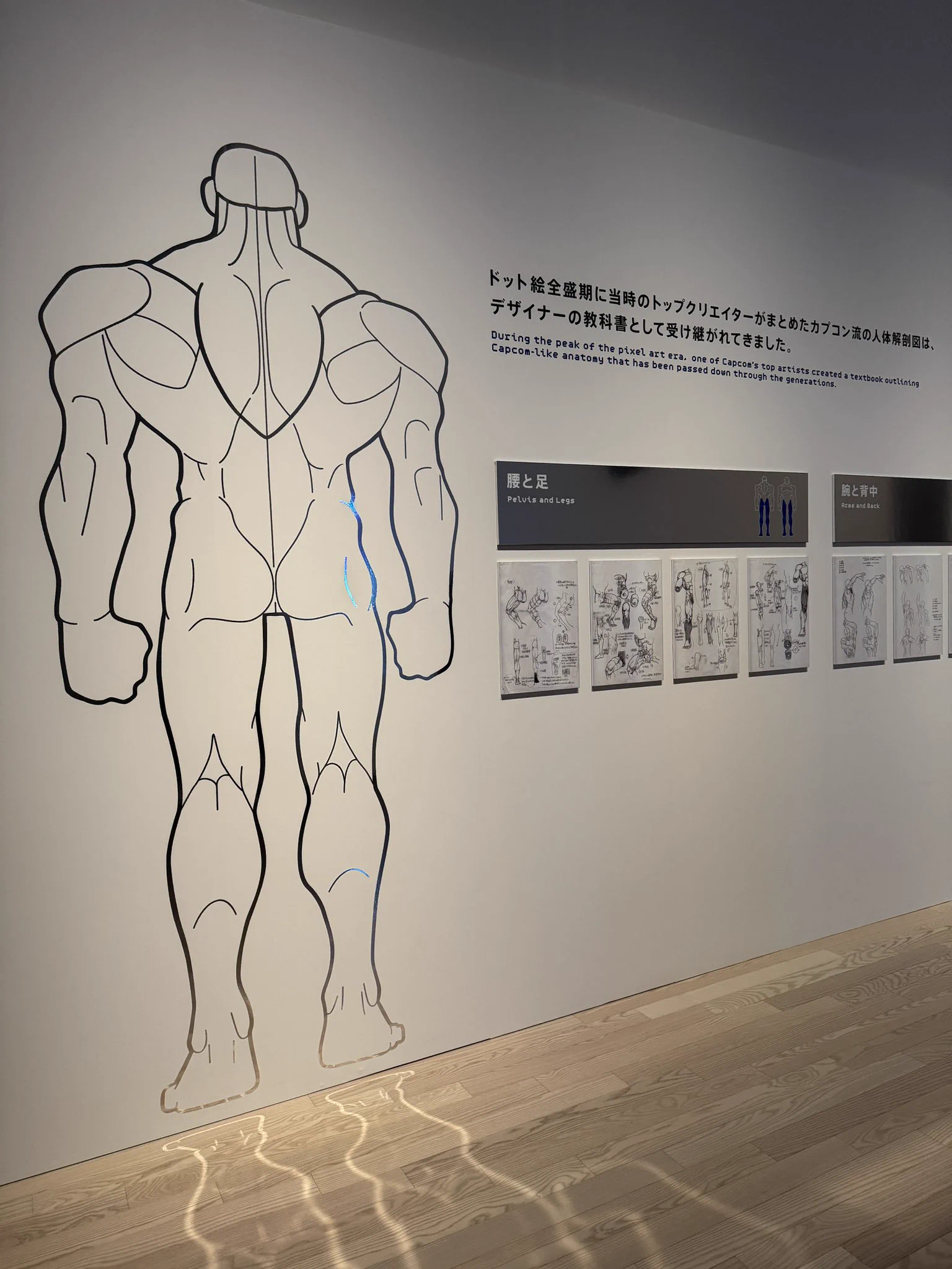 伊豆の美術解剖学者 on X: 