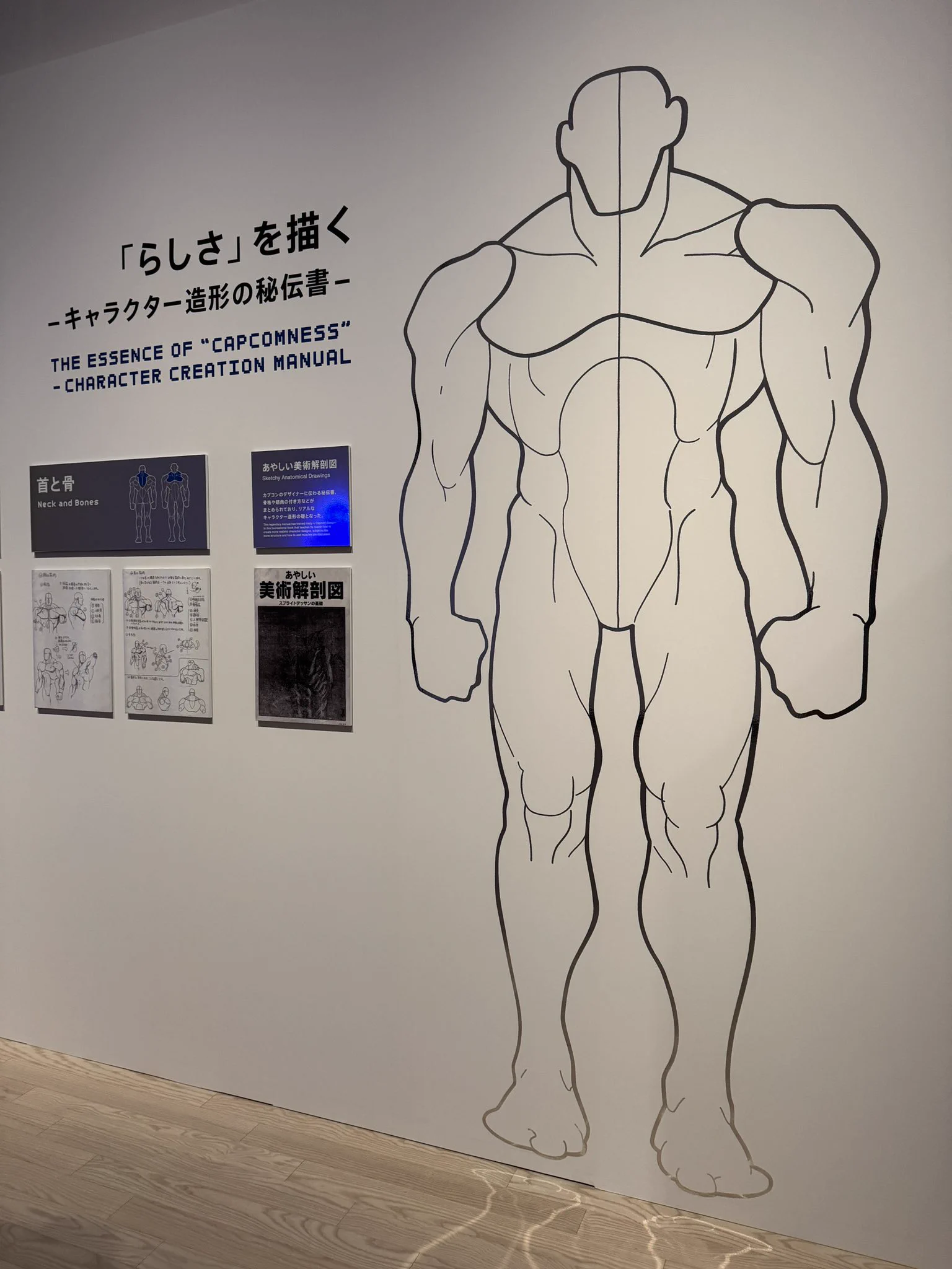伊豆の美術解剖学者 on X: 
