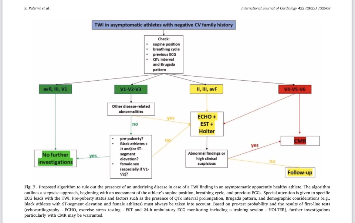 Interpretation and management of T wave inversion in athletes: An expert opinion statement of the Italian Society of Sports Cardiology (SICSPORT) 🗞️

Link: internationaljournalofcardiology.com/action/showPdf…