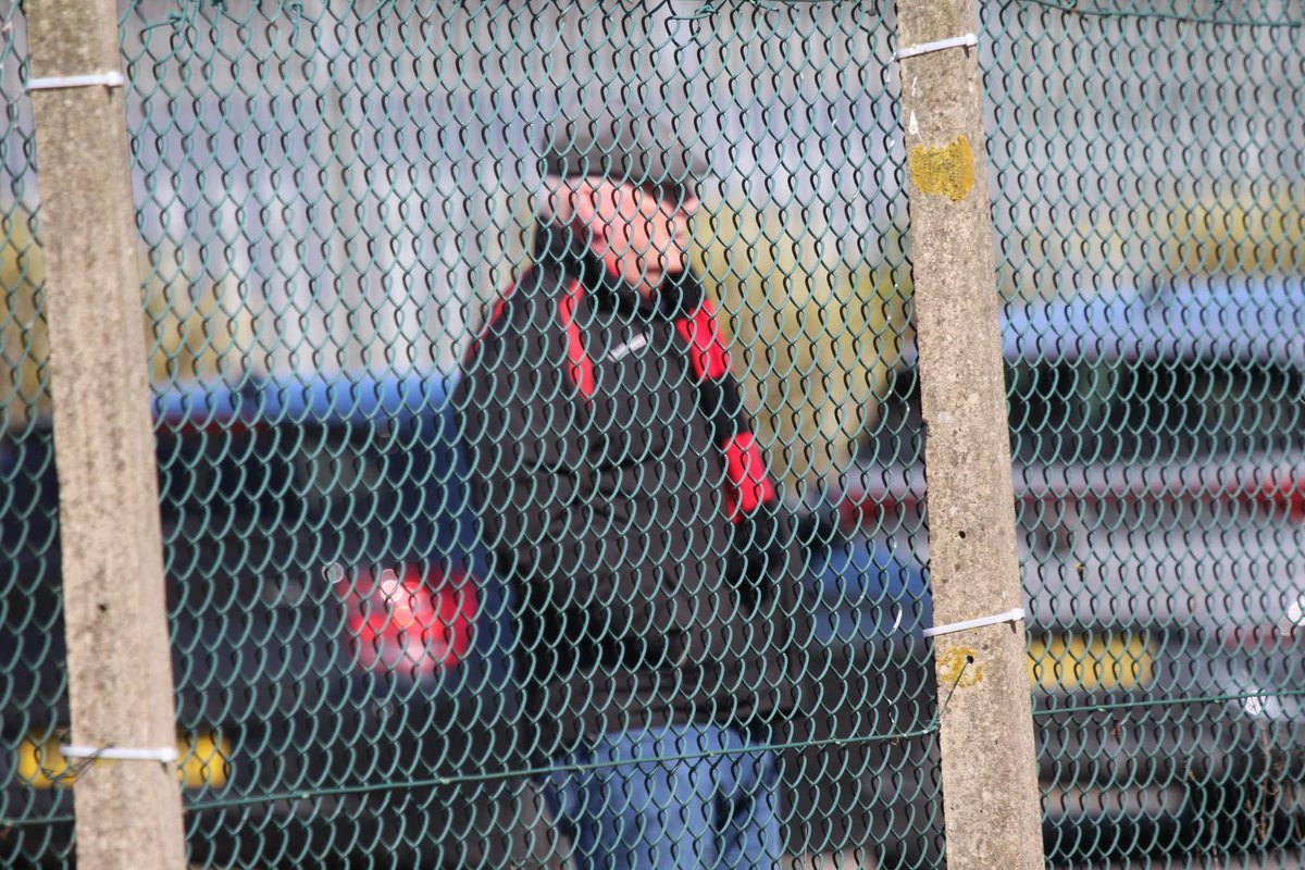 Sue Bows tweet media