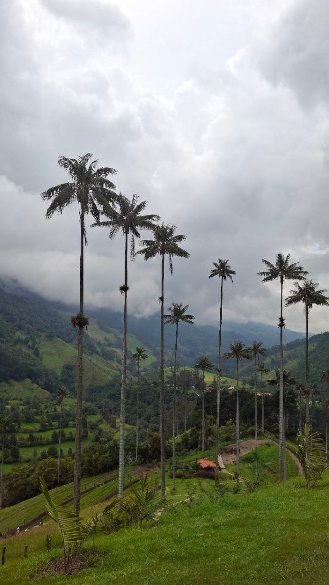 Trapped29's tweet photo. @travalacom And some epic photos, why not @travalacom #Travala https://t.co/6ZXaInCe9x