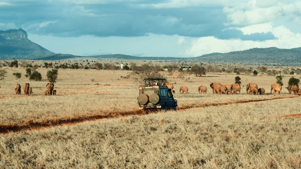 Connect 🚎🔌
<a href="/maisha/">Maisha</a> @BIG <a href="/Mutuzo/">Katozi Johnson</a> <a href="/Kuteesa/">Hannington</a> @Timber 

#safari #nature #NatureBeauty #Sustainability #sustainabletourismke