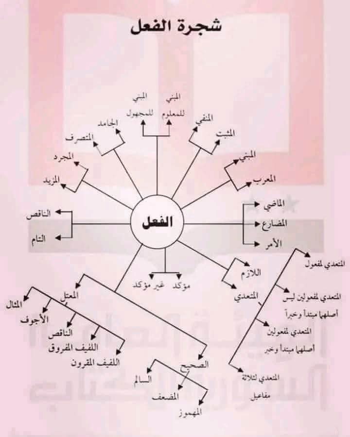 #شجرة_الفعل