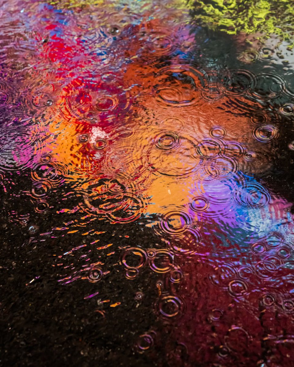 Ledger's tweet photo. Artist Spotlight w/ Dave Krugman! 🎨✨

We’re chatting with New York based photographer, @dave_krugman, in the Ledger Discord!

🗓️ Thursday 10th April @ 5PM CET

4 x artworks to win from the ‘Drip Drop’ collection!

👉 Join our Discord if you haven't already: https://t.co/1y3XStE1oE