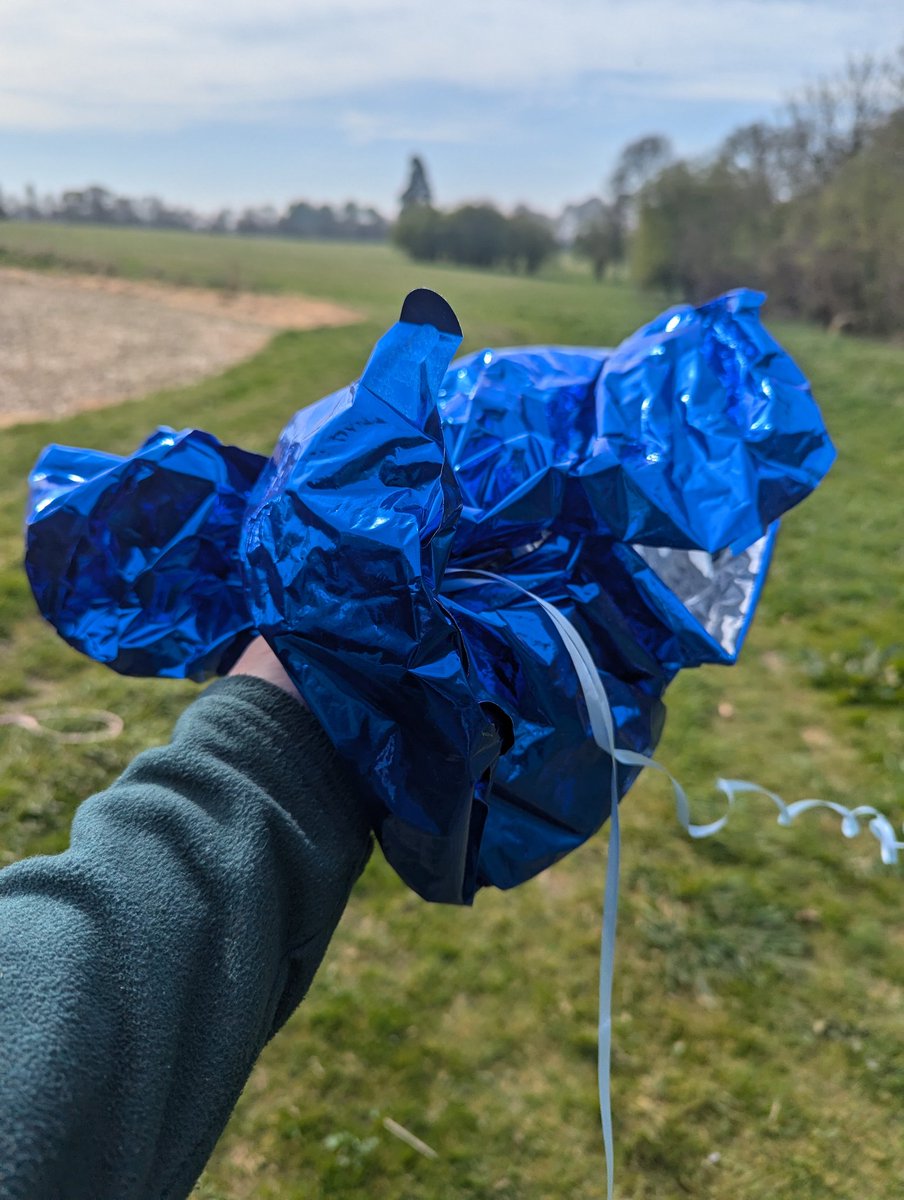 MeganRural's tweet photo. I've said it before &amp; I'll say it again..this sadly won't get to your passed relative/friend, maybe do something better than littering our planet&amp;causing harm to livestock and wildlife. Plant a tree in remembrance which will always be reaching towards the sky! #BanTheBallons! https://t.co/sTXUdfBBLL