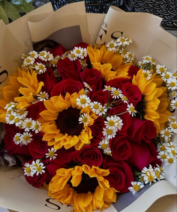 sunflowerchives's tweet image. Love at first bloom.