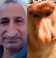 apoo_alhsn's tweet photo. @EdyCohen هكذا يبدو شكلك https://t.co/Z3veMxZyIC