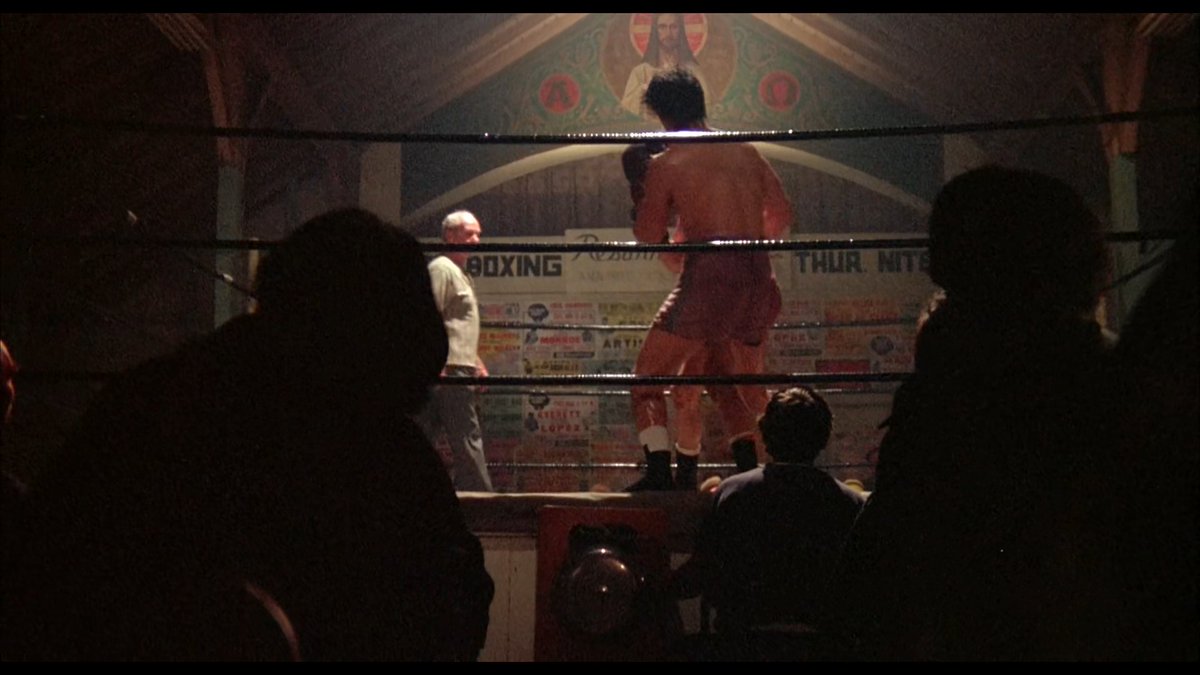 Rodrigo Carvalho tweet media