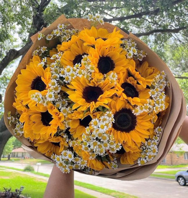 sunflowerchives's tweet photo. Color your world with sunflowers. https://t.co/YrHw9IqZJO