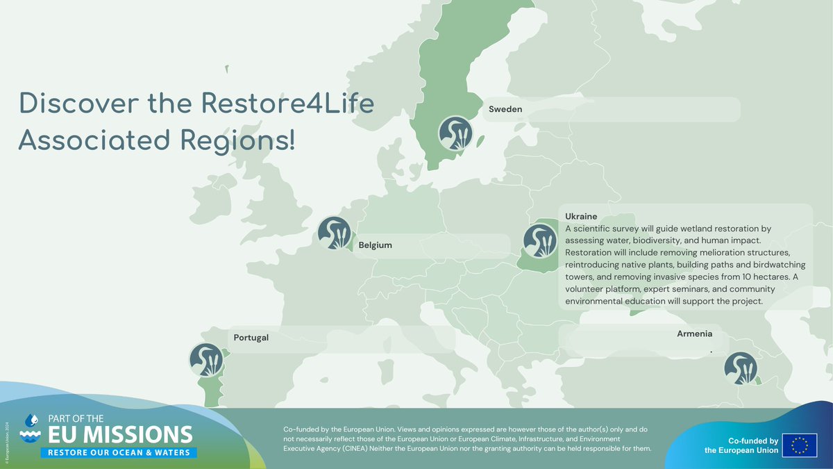 🇺🇦 Discover the unique Bilohorscha Peatland in Ukraine! 

This vital landscape reserve, home to at least 🌱 41 rare plants and 25 rare animals, is facing threats. 

Learn more about the area 👉 lnkd.in/dKRqjjzw