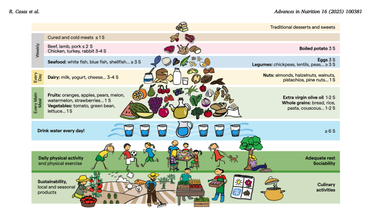 In_PositiveFood's tweet image. Nouvelle pyramide de l’alimentation et du mode de vie méditerranéen adaptés aux besoins des enfants et adolescents de 3 à 18 ans 👧👦.
🎯 Objectif : favoriser la santé au sein de cette population.
Pour accéder à l’étude complète 👉urlr.me/augU4V
