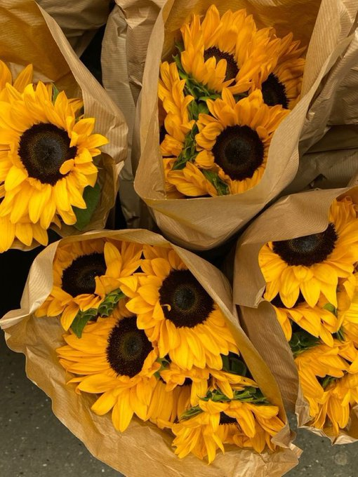 SUNFLOWER 🌻 (@sunflowerchives) on Twitter photo 