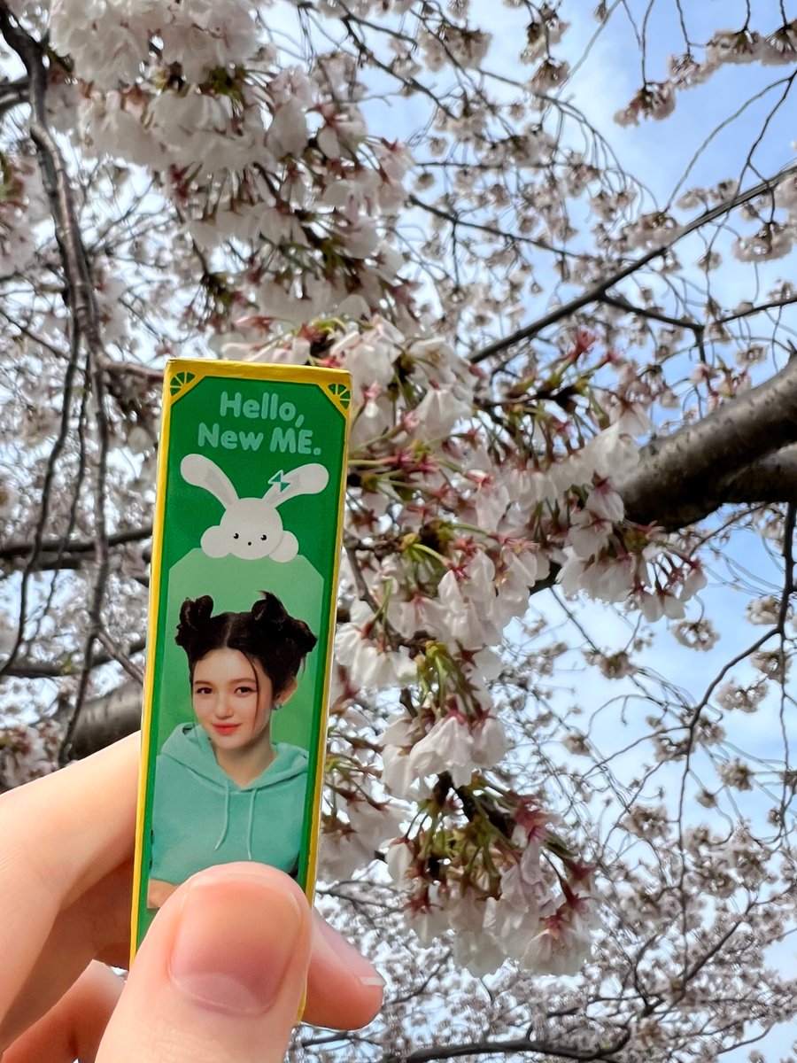 Veronica0411V's tweet photo. 桜ダニ様🌸
※風強くて上手く撮れんかった
#Danielle #DanielleJuneMarsh
#ダニエル #다니엘 #모지헤
#MHDHH #NJZ #NewJeans https://t.co/tXhPMD3TmE