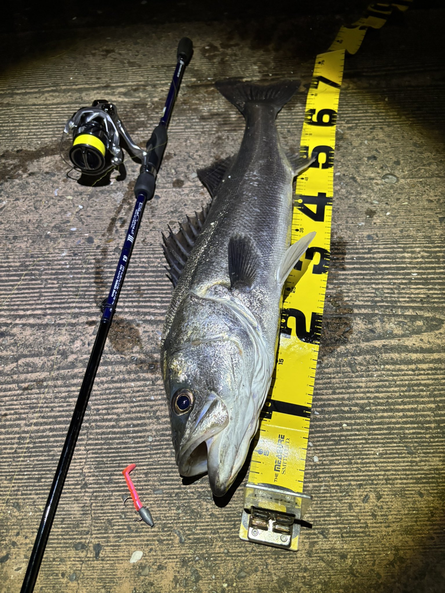 WANS わんず 疑似餌製造 パーカー ブラック M さなぎ しぼり ルアー