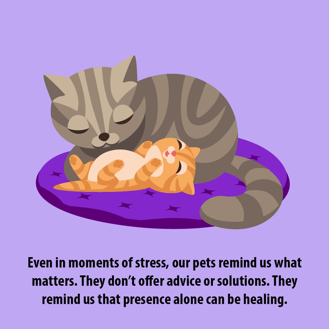 BrightRockZA's tweet photo. This month, we’re giving you some paws for reflection. First up we have a heartwarming piece from #ChangeScience expert, Gill Cross. She discusses why approaching each other with the same care and kindness that our pets show us, can help strengthen human connection.

#LoveChange