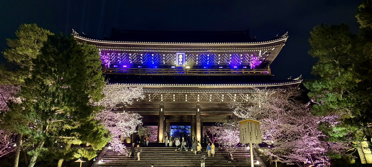 toro1147's tweet photo. 夜桜🌸🌸 https://t.co/pg8EUIotza