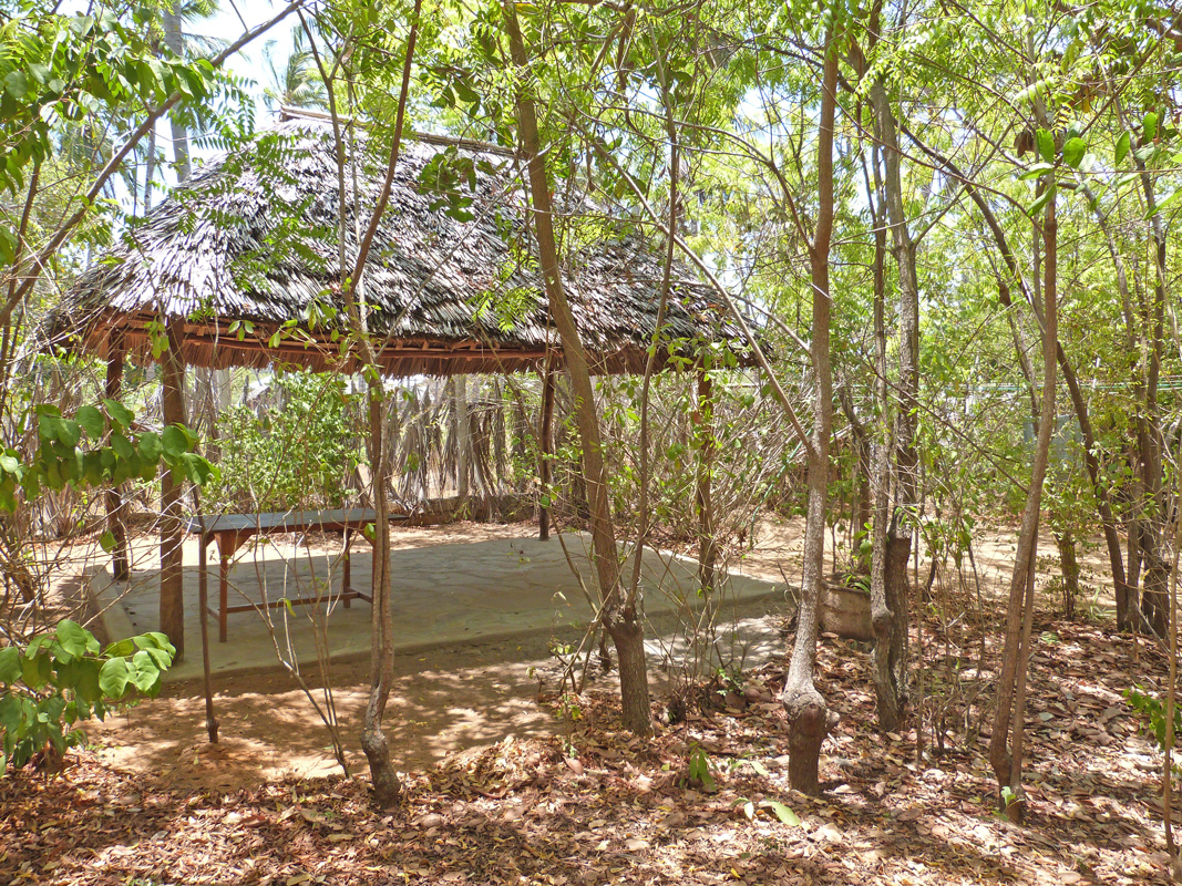 DiscoverWatamu's tweet photo. 🌴**Watamu Plot for Sale:** Half-acre gem near Turtle Bay Beach Club! Features 3 ensuite bedrooms and 2 rustic rooms. Mains power/water, Freehold title.  
**Price:** €140,000  
For viewing, email Jen at jen@wpskenya.com or WhatsApp +254 741 168 381. https://t.co/6L4dhclfpA