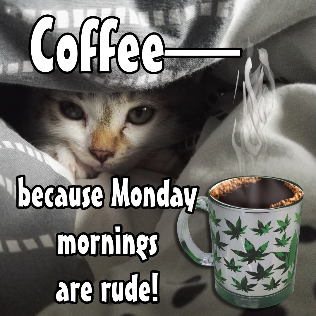 Coffee because Mondays are rude.

Check out our cool coffee mugs - 
theblacklightzone.com/search.php?sea…
