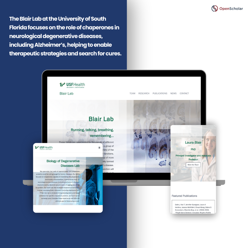 TheOpenScholar's tweet photo. Now more than ever, groundbreaking U.S. research deserves to be seen, shared, and spotlighted. 

Meet some of the world-changing researchers at @BIDMChealth, @USFHealth, @ohiou, and @txbiomed driving impact with @theOpenScholar.

#ResearchMatters #HigherEd #SciComm #FundResearch