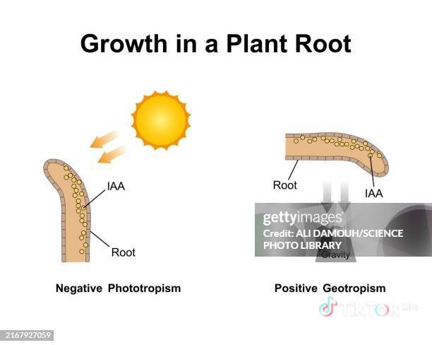 quadriland's tweet photo. Be intentional about what you do behind the scenes of life if you truly desire SUCCESS
#QTGThoughts
#HumanCapitalDevelopment
#EnterpriseDevelopment &amp;
#SuccessionPlan
#IHCEDN
#InspirationalTuesday
#TransQuadLimited
|Printing|•|Media|•|Properties|•|Wellness|•|Agribusiness| https://t.co/c750YWcOPF