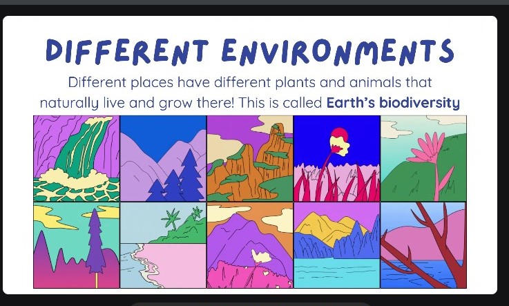 Angelo Bruno 💙🇨🇦🇮🇹⚽️🏌️‍♂️🏈🎣 tweet media