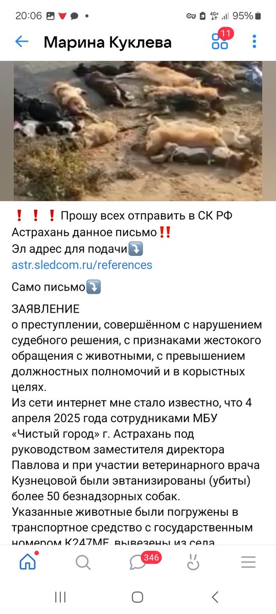 mgk_05's tweet photo. 4 апреля 2025г в астрахани были убиты в отлове 50 собак
В том числе стерилизованные

https://t.co/LyeUzIDTIS

Пишите письма в следком
Текст прилагается https://t.co/au10WXy4sx