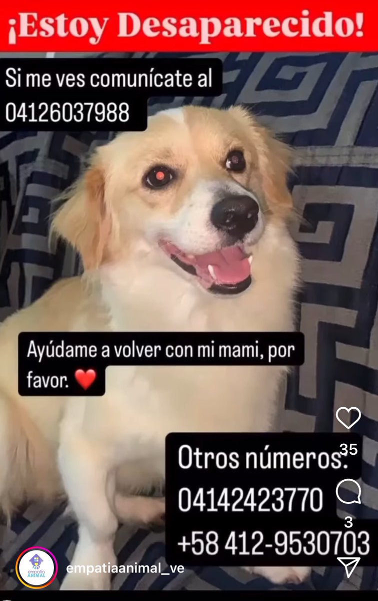 CarmenZR04's tweet photo. Perdido en Altamira https://t.co/vaqxpZTAIK