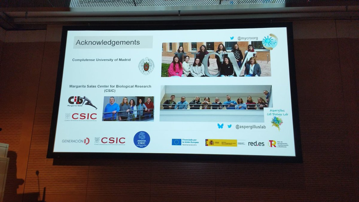 MYCROORG (@mycroorg) on Twitter photo Hoy <a href="/SilviaRguez/">Silvia Rodríguez-Pires</a> ha presentado fenomenal en el WMF una colaboración entre <a href="/mycroorg/">MYCROORG</a> y <a href="/aspergilluslab/">AspergillusLab</a> para estudiar la regulación del cluster de biosíntesis de ocratoxina A utilizando el hongo “Aspergillus nidulans” 🧬🧫 ¡Qué de alegrías nos están dando estos estudios! 😊 Hoy <a href="/SilviaRguez/">Silvia Rodríguez-Pires</a> ha presentado fenomenal en el WMF una colaboración entre <a href="/mycroorg/">MYCROORG</a> y <a href="/aspergilluslab/">AspergillusLab</a> para estudiar la regulación del cluster de biosíntesis de ocratoxina A utilizando el hongo “Aspergillus nidulans” 🧬🧫 ¡Qué de alegrías nos están dando estos estudios! 😊