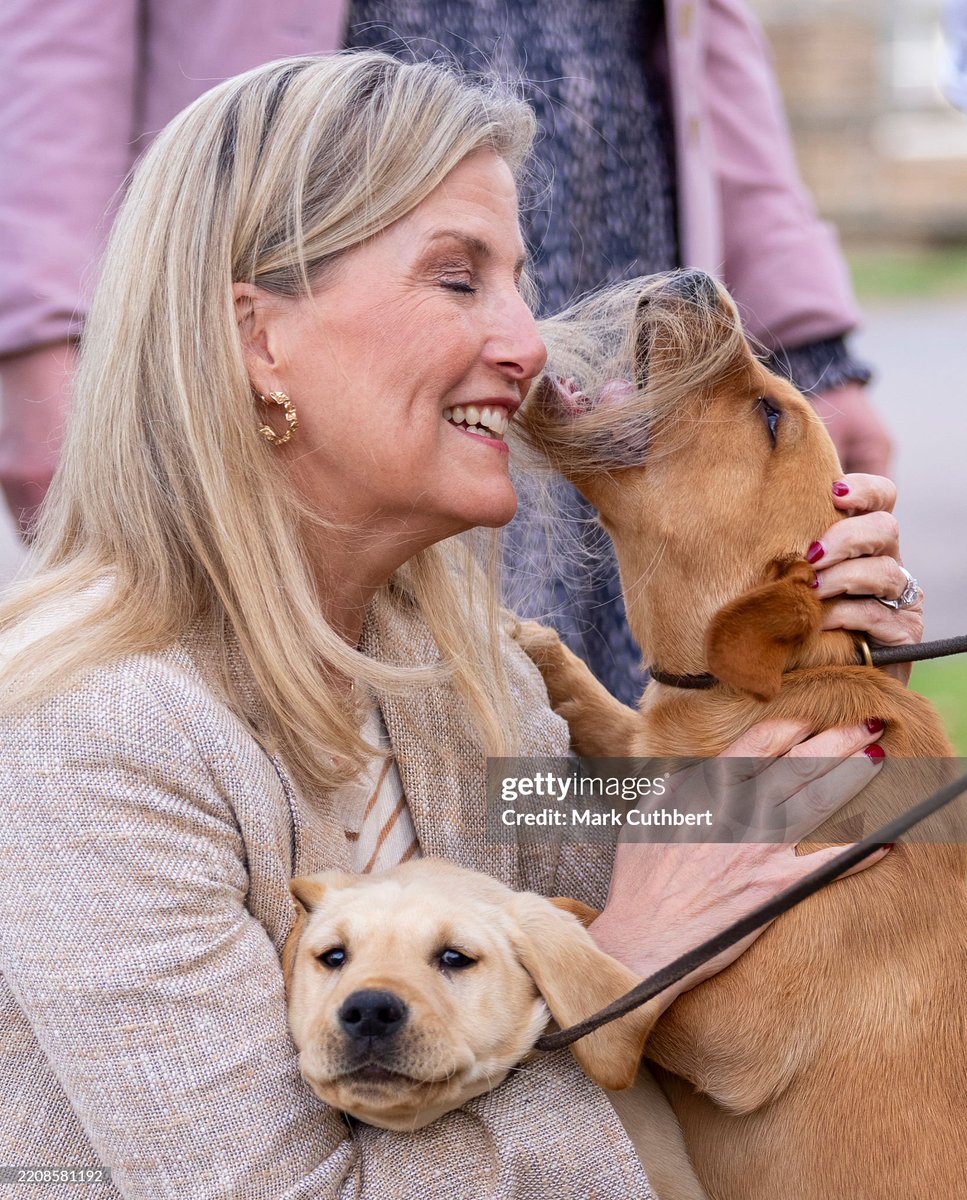 TheProperTake's tweet photo. These photos just made my whole day — and I hope they make yours too 💛 https://t.co/zf6KUa78ub