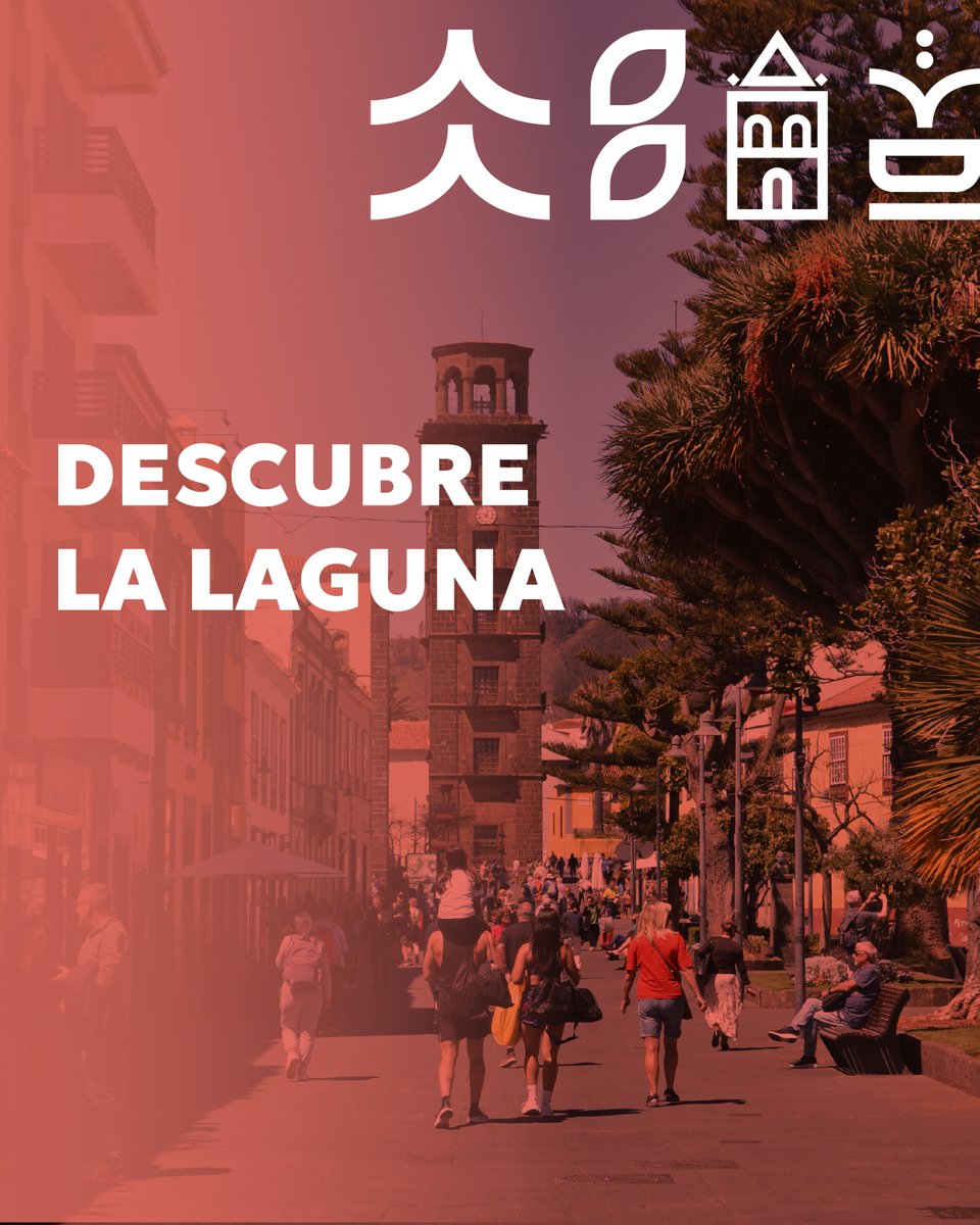Turismo La Laguna tweet media