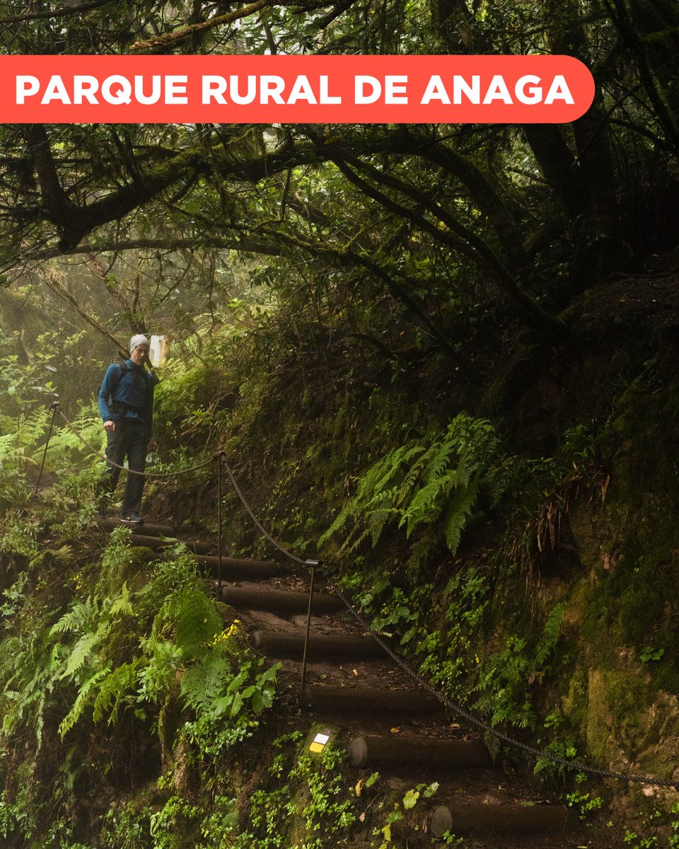 Turismo La Laguna tweet media