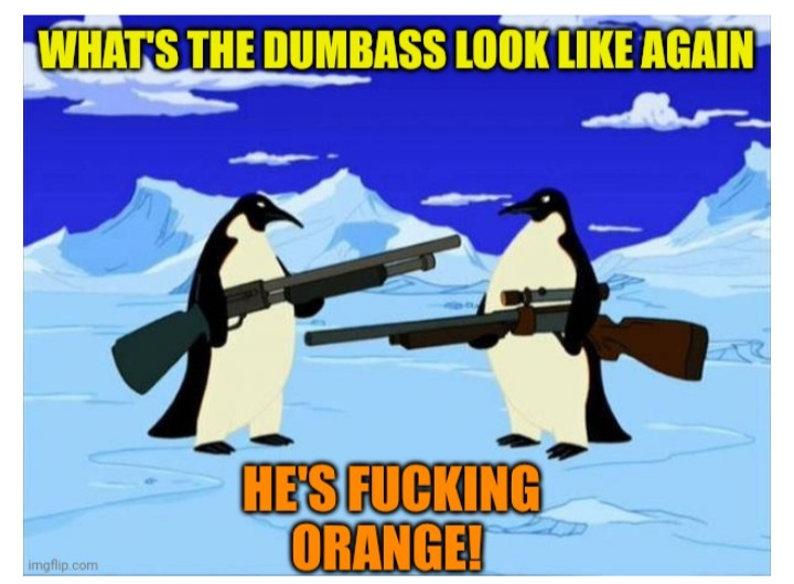 Guy Goncalves tweet media