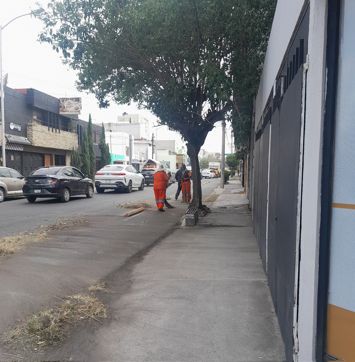 MGabrielPastor's tweet photo. Los vecinos de Gabriel Pastor 1a secc Agradecemos el barrido manual y mecánico en 9 sur.🌟
@PueblaAyto 
@pepechedrauimx https://t.co/H0SyDMY3NW