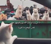 JK4's tweet photo. مودريتش يوم باص مدريد مر من عند توتنهام https://t.co/JSH7ibvk3m